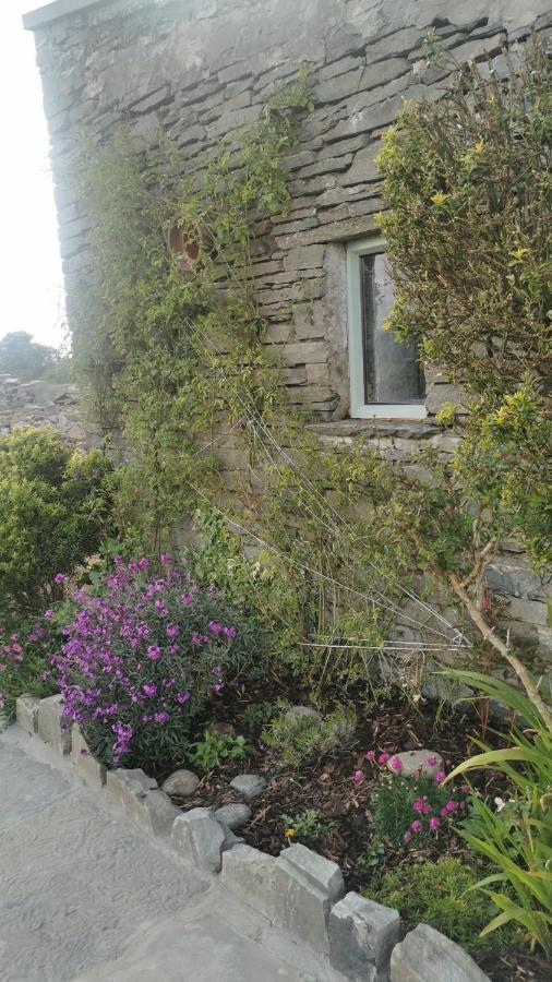 Rose Meadow Cottage Liscannor Exterior foto